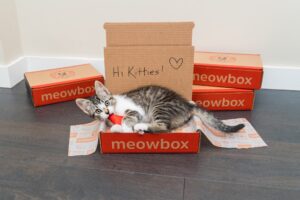 Meow Box