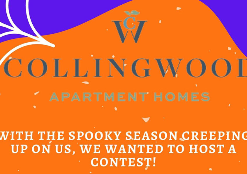 collingwood-spooky-contest-f