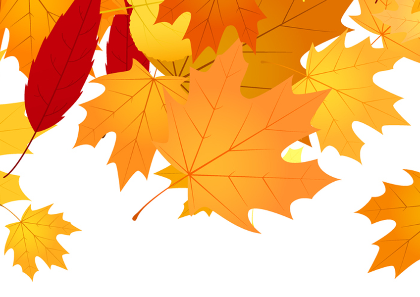 leaves-fall-featured