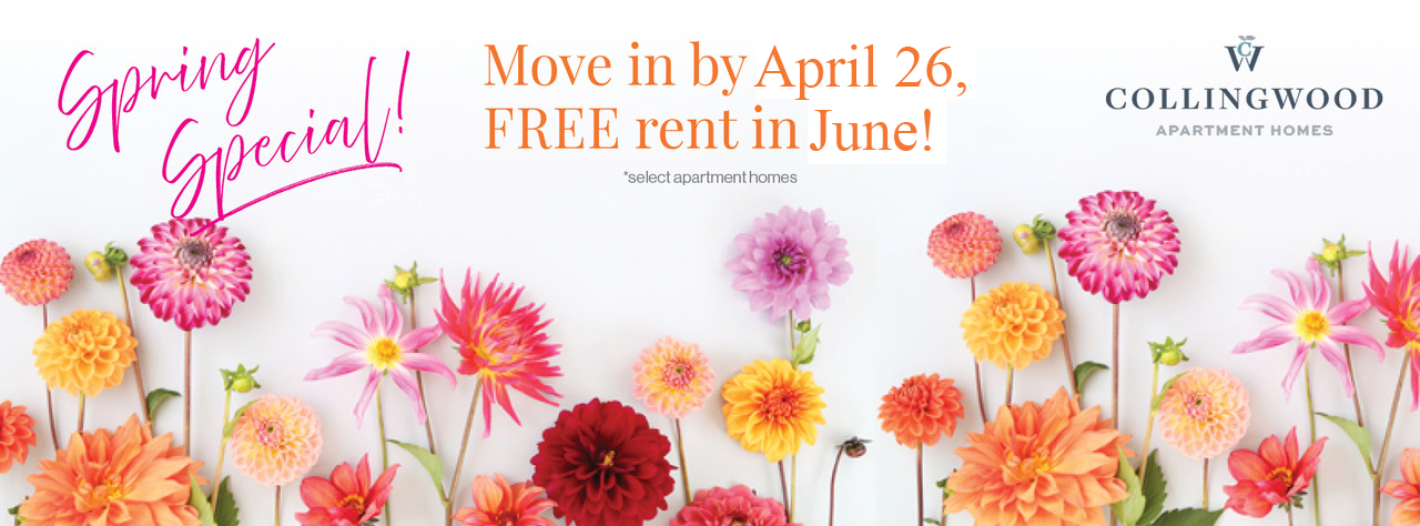 Offer Spring, Free Rent in June