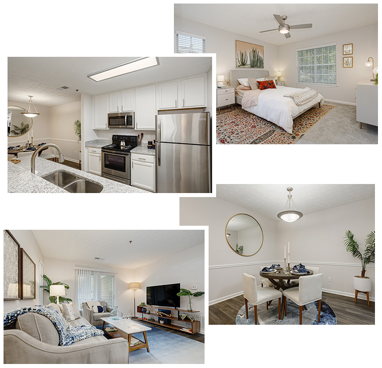 Collingwood Apartments - Exceptional Style, Exceptional Living