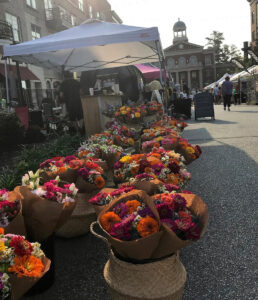Fall Flowers at Farmer's Market